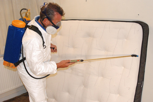 Bed Bug Control